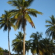 Strand Diani Beach Kenia