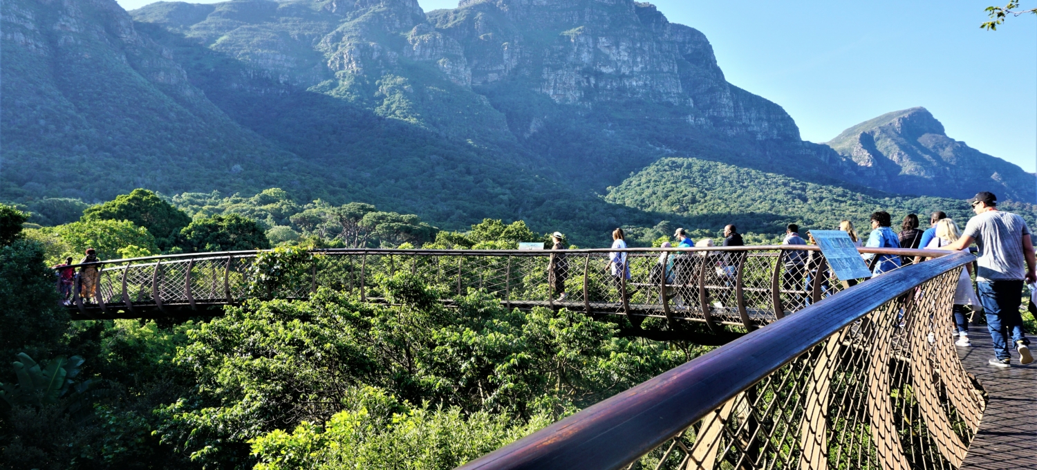 Kirstenbosch Südafrika