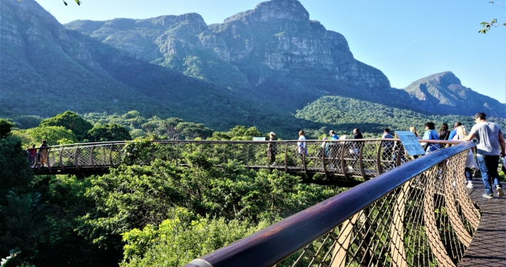 Kirstenbosch Südafrika