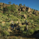 Berge Namibia