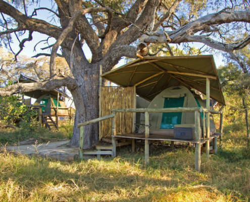 Oddballs Camp Botswana