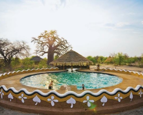 Pool Planet Baobab Botswana