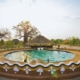 Pool Planet Baobab Botswana