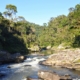 Ranomafana