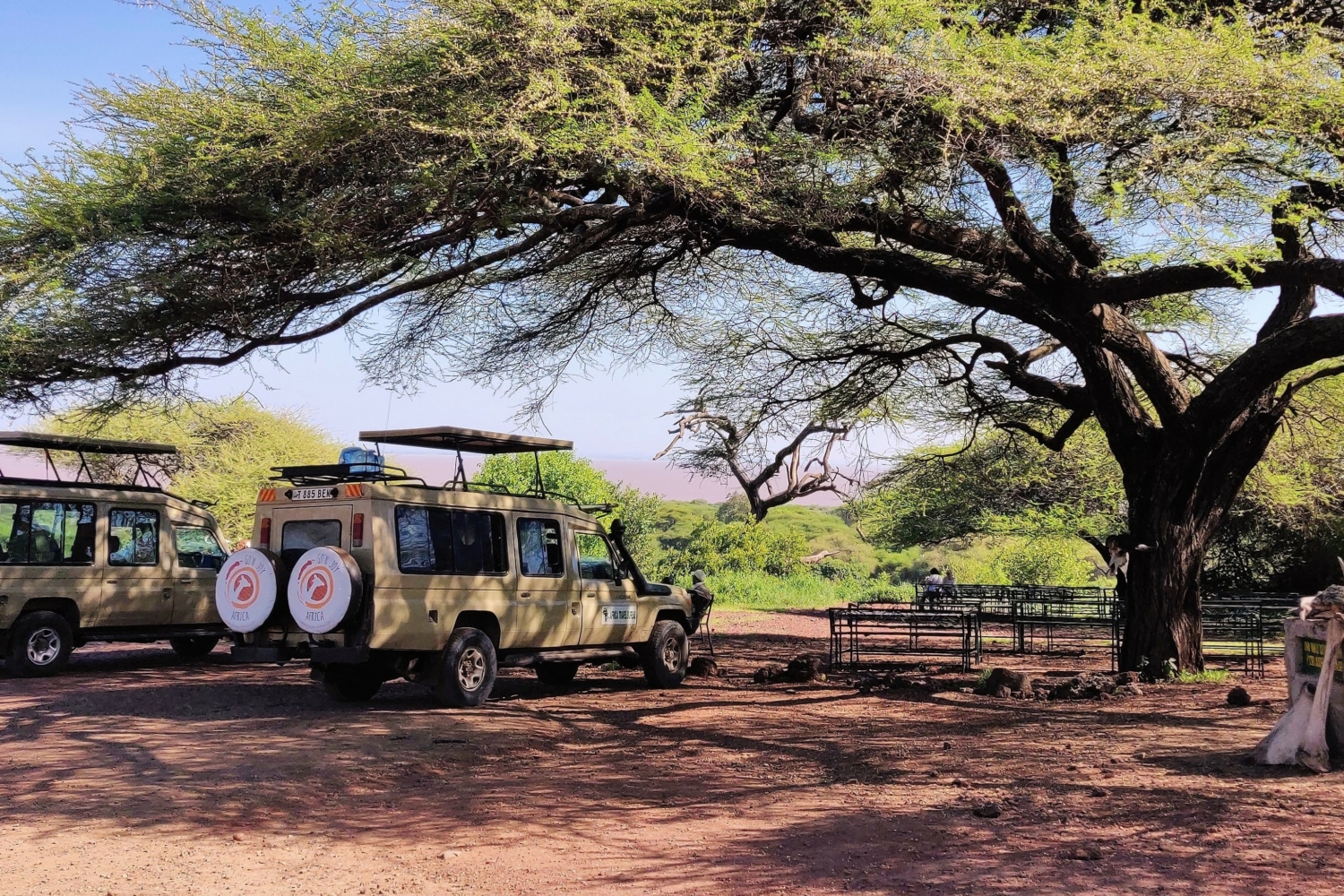 Safari Jeep Tarangire Nationalpark