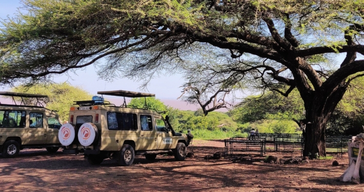 Safari Jeep Tarangire Nationalpark