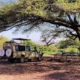 Safari Jeep Tarangire Nationalpark