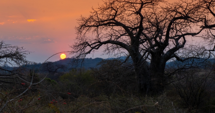 Sonnenaufgang Mikumi Nationalpark