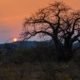 Sonnenaufgang Mikumi Nationalpark