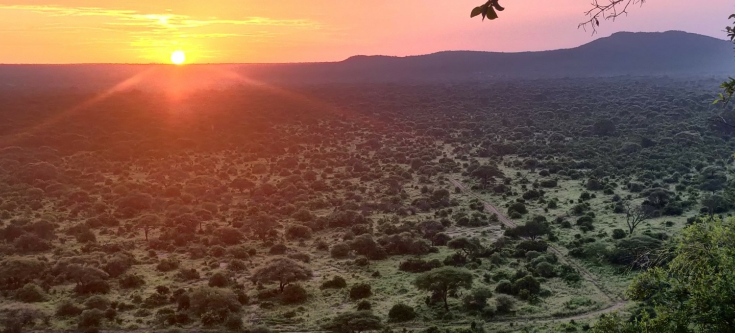 Sonnenaufgang im Tarangire Nationalpark