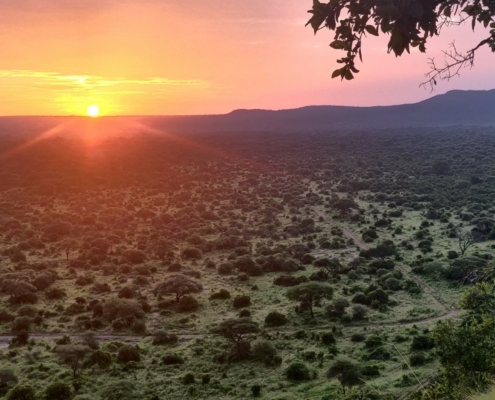 Sonnenaufgang im Tarangire Nationalpark