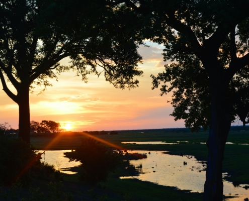 Sonnenuntergang Chobe Nationalpark