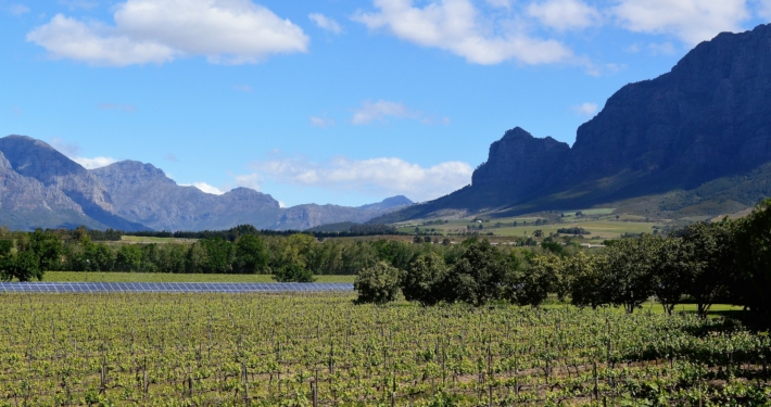 Winelands Südafrika
