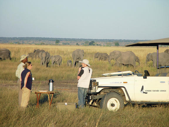 Pirschfahrt in der Chobe Safari Lodge