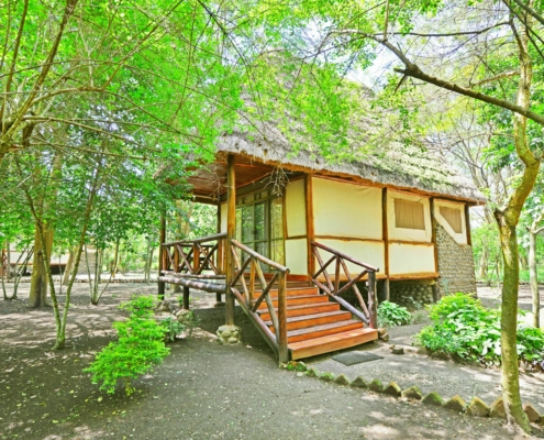 Ishasha Jungle Lodge Uganda