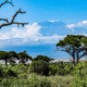 Amboseli Nationalpark