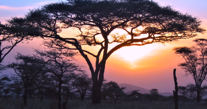 Masai Mara
