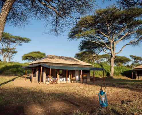 Serengeti Baobab Camp Tansania