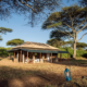 Serengeti Baobab Camp Tansania