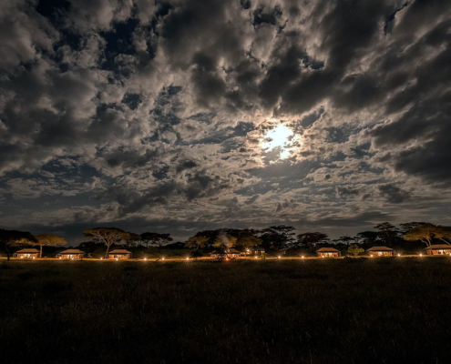 Serengeti Baobab Camp Tansania