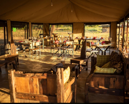 Serengeti Baobab Camp Tansania