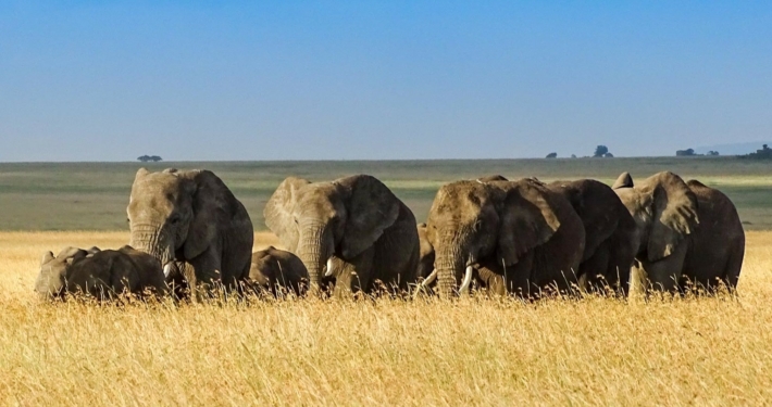 Famileinreise Tansania