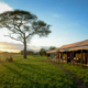 Außenansicht Thorn Tree Camp Tansania