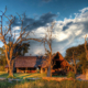 Bomani Tented Lodge Simbabwe