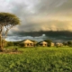 Sound of Silence Camp Tansania
