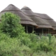 Kasenyi Safari Camp