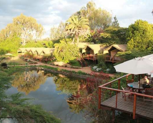 Wildebeest Eco Camp