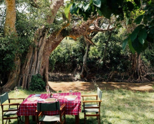 Olimba Camp Maasai Mara