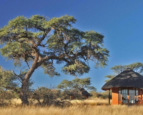 Camelthorn Kalahari Lodge Zimmer