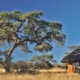 Camelthorn Kalahari Lodge Zimmer