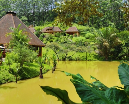 Vakona Forest Lodge Natur