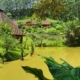 Vakona Forest Lodge Natur