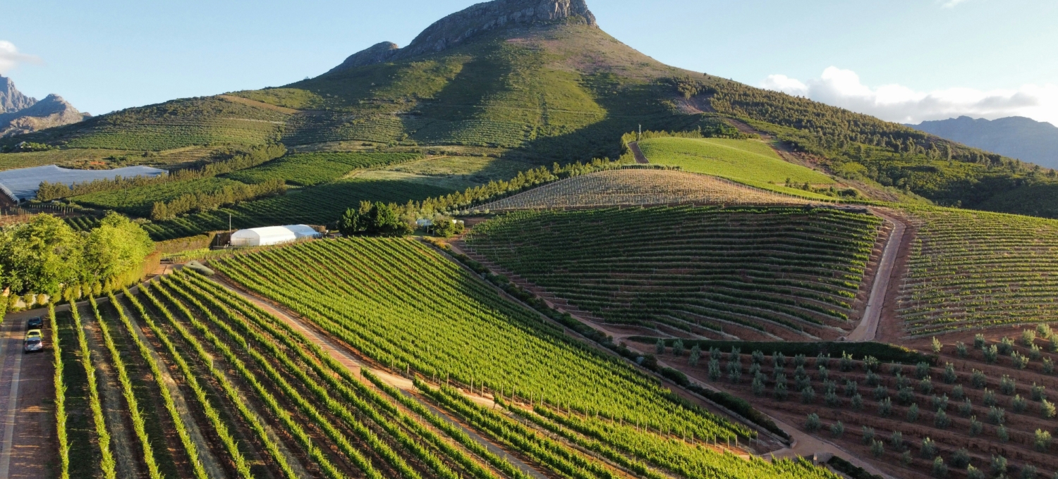 Stellenbosch
