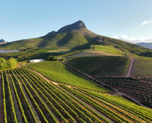Stellenbosch