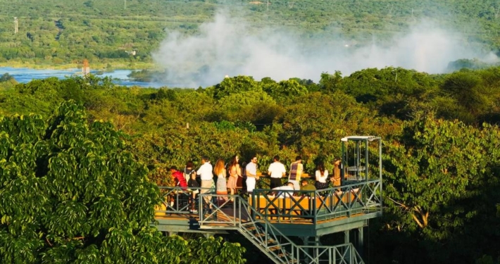 Shongwe Oasis