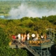 Shongwe Oasis