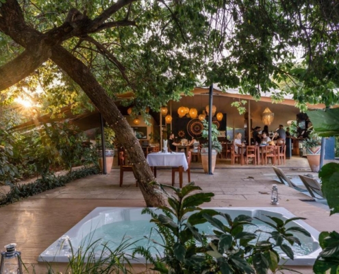Shongwe_Oasis_3.jpg