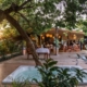 Shongwe_Oasis_3.jpg